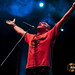 David Rosa Photo 3