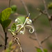 Dinesh Salian Photo 5