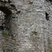 James Carew Photo 9