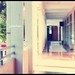 Kelly Luong Photo 6