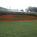 Carl Abner Photo 6