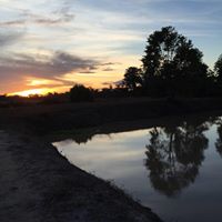 John Wolfe Photo 38