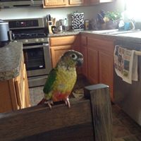 Mary Esser Photo 21