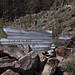 Joseph Doty Photo 7