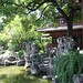Yuan Yu Photo 6