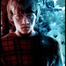 Ron Durante Photo 5