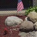 Gregory Reese Photo 11