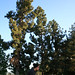 Jonathan Crouch Photo 9