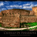 Alba Castillo Photo 10