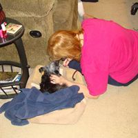 Linda Peck Photo 11