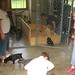 Ronnie Walsh Photo 7