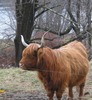 Donald Lovering Photo 7