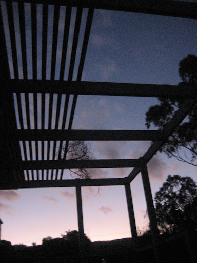 Jenny Cook Photo 32
