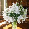 Sharon Mccarthy Photo 30