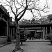 Jia Zhou Photo 9