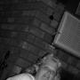Robin Blevins Photo 34