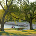 Bradley Peace Photo 6