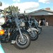 Brenda Davison Photo 2