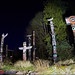 Reid Stanley Photo 3
