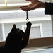 Douglas Huffman Photo 12