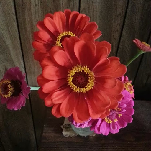 Martha Davis Photo 53