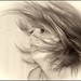 Julie Le Photo 2