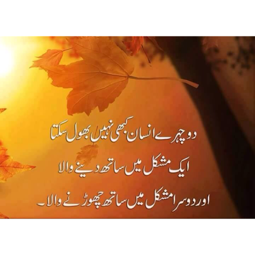 Rizwan Raja Photo 31