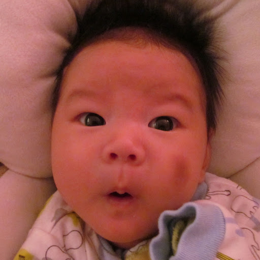 Tao Xu Photo 33