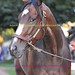 Alexandra Kearns Photo 3