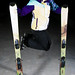 David Rossignol Photo 9
