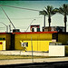 Nelson Mesa Photo 11