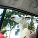 Mike Llamas Photo 8
