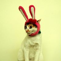 Philip Yau Photo 13