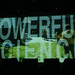 Jeffrey Showen Photo 5