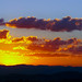 Antonio Leite Photo 2