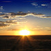 Ray Lamb Photo 10