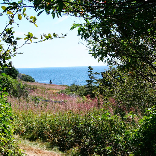 Judith Ashworth Photo 10
