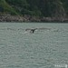 Steven Fluke Photo 6