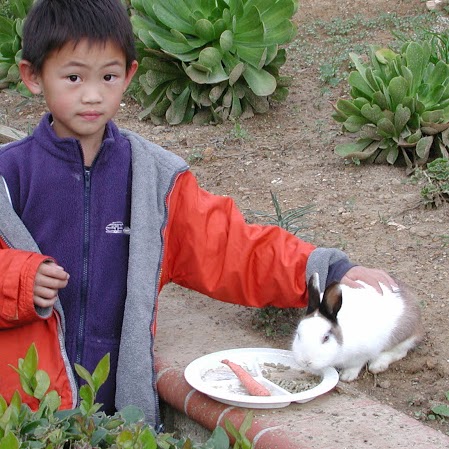 Mei Gao Photo 11