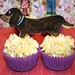 Charlie Topper Photo 3