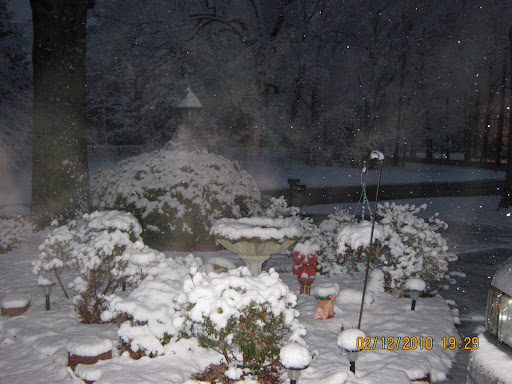 Debra Anderson Photo 22