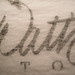Julie Watt Photo 9