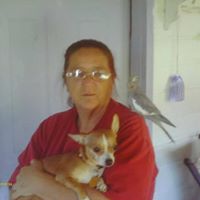 Nancy Elrod Photo 20