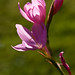 Jennifer Mcnulty Photo 6