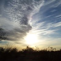 Gail Kinney Photo 12