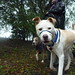 Anthony Enders Photo 6