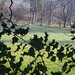 Holly Meadows Photo 5