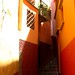 Carmen Amoroso Photo 4