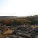 Jay Hileman Photo 6