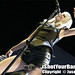 Jason Moss Photo 12